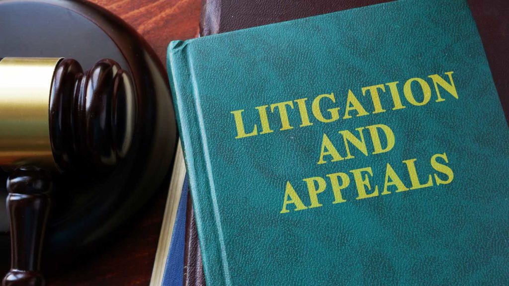 green book with 'litigation and appeals' on the cover